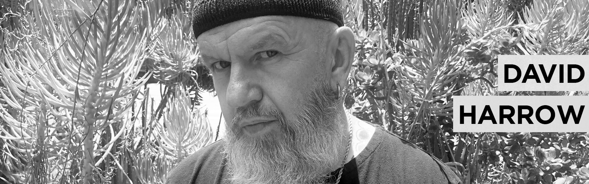 B David Harrow Artist 2021